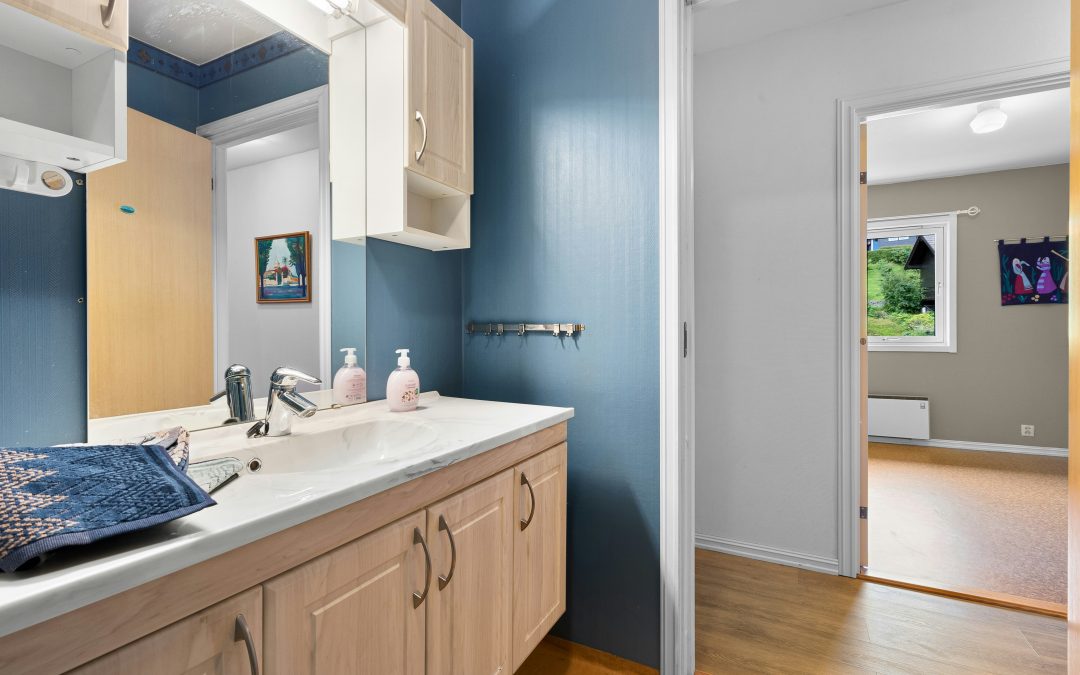 paint color for cabinets in bathroom